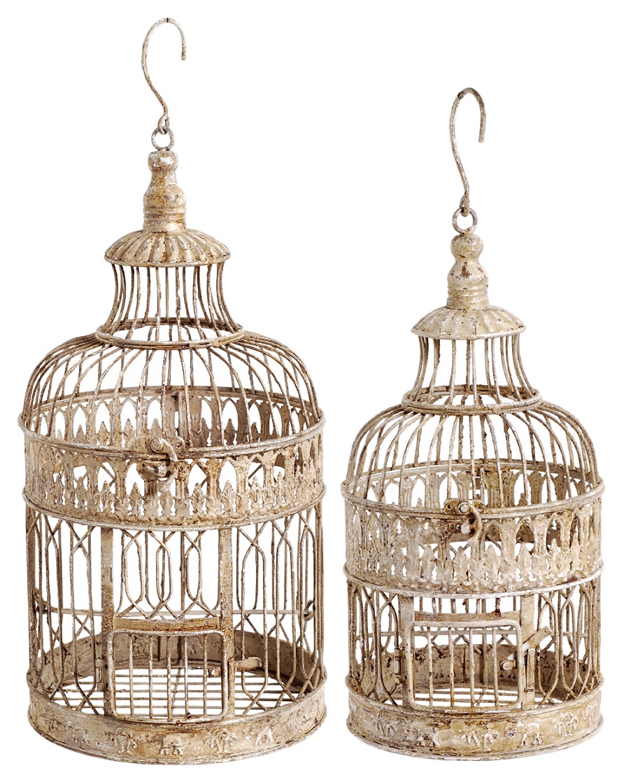 Bird cage decor 