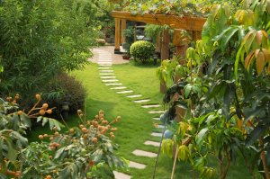 A stone walkway winding its way through a tranquil garden