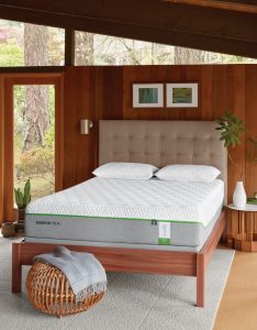 Tempur-pedic mattress on a wooden bed frame in a bamboo style bedroom.