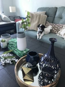 Coffee table decorations with vases, trays, boxes and other accent pieces.