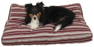 medium sized striped flat dog bed with a medium sized dog on top.