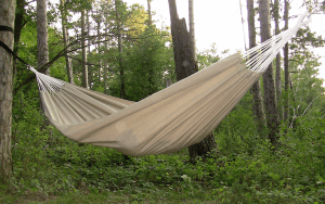 A cream colored hammock that is tied up on a tree.