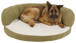Large dog bed in a green color with a large dog laying on it.