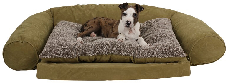 Medium sized green dog bed with a puppy laying in it.,