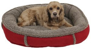 Small round dog bed in red with a medium sized dog laying inside.